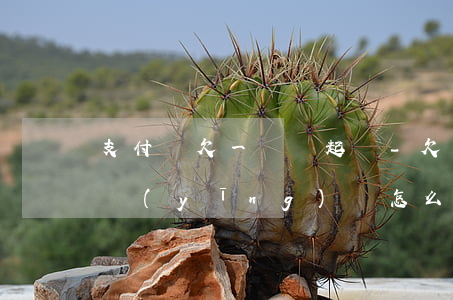 支付寶欠一塊錢起訴-欠支付寶錢被起訴后應(yīng)該怎么樣處理