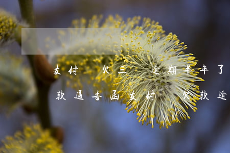 支付寶欠三萬逾期半年了,今天收到支付寶催款通告函（支付寶欠款逾期通告）