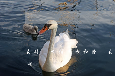 支付寶欠信用卡和借唄(支付寶能用信用卡還借唄嗎)