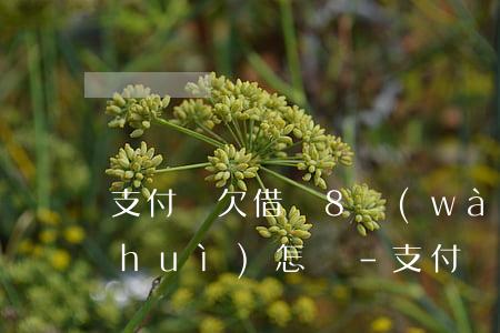 支付寶欠借唄8萬(wàn)逾期一年會(huì)怎樣-支付寶欠借唄8萬(wàn)逾期一年會(huì)怎樣處理