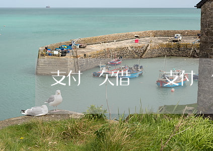 支付寶欠借唄圖(支付寶借唄欠錢圖片)