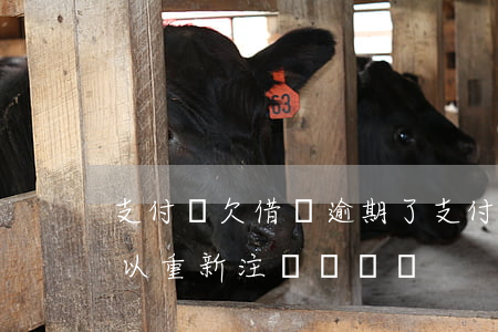 支付寶欠借唄逾期了(支付寶欠借唄逾期了,可以重新注冊個號嗎)