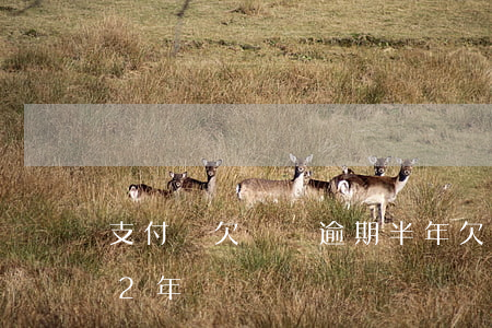 支付寶欠兩萬逾期半年(欠支付寶2萬多逾期2年)