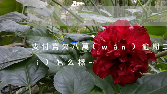 支付寶欠八萬(wàn)逾期二年會(huì)怎么樣-