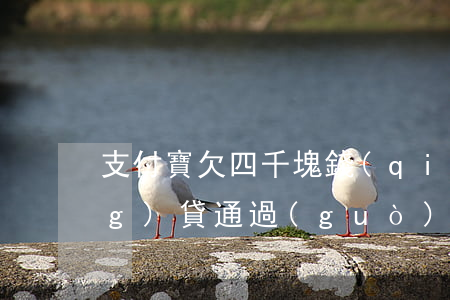 支付寶欠四千塊錢(qián)網(wǎng)貸通過(guò)不了(欠了4萬(wàn)網(wǎng)貸)