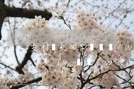支付寶欠四千塊錢網(wǎng)貸通過不了(欠了4萬網(wǎng)貸)