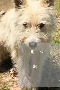 支付寶欠幾百塊錢可以申請(qǐng)逾期嗎-支付寶欠幾百塊錢可以申請(qǐng)逾期嗎知乎