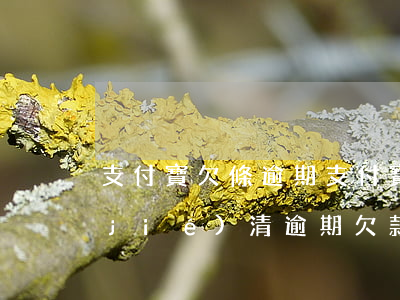 支付寶欠條逾期(支付寶逾期客服要求我結(jié)清逾期欠款)