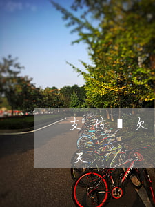 支付寶欠款16萬逾期（支付寶借款逾期57天）