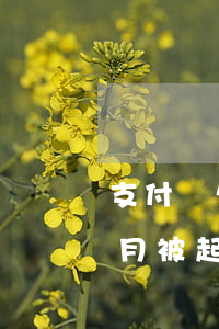 支付寶欠款1萬(wàn)多三個(gè)月,被起訴后會(huì)怎樣（支付寶欠一萬(wàn)被起訴了）