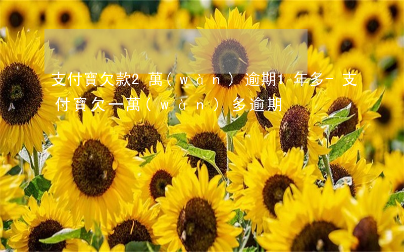支付寶欠款2萬(wàn)逾期1年多-支付寶欠一萬(wàn)多逾期