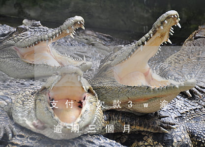 支付寶欠款3w逾期三個月（支付寶欠款3w逾期三個月）