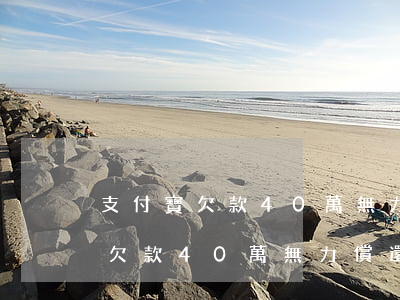 支付寶欠款40萬無力償還怎么辦-支付寶欠款40萬無力償還怎么辦理