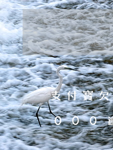 支付寶欠款50000逾期(支付寶欠款50000逾期)
