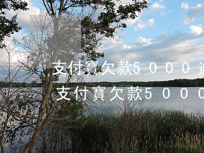支付寶欠款5000逾期三個(gè)月-支付寶欠款5000逾期三個(gè)月催收上門