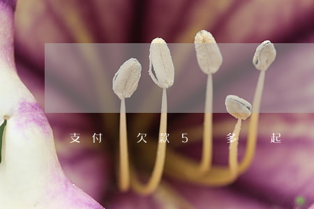 支付寶欠款5萬多,說起訴（支付寶五萬多久起訴）
