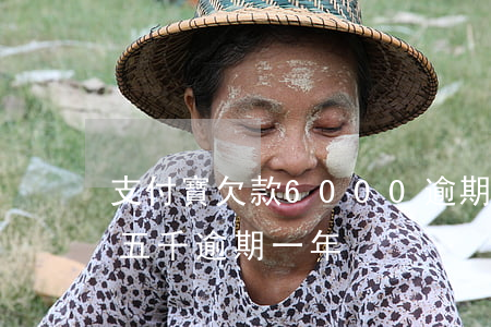 支付寶欠款6000逾期50天(支付寶欠了五千逾期一年)