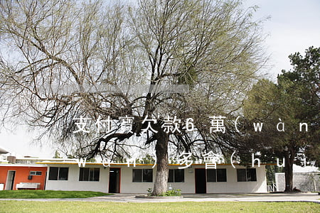 支付寶欠款6萬(wàn)（支付寶欠六萬(wàn)多會(huì)起訴）