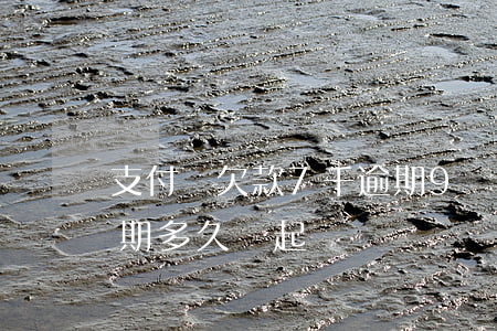 支付寶欠款7千逾期9個月(支付寶欠7萬逾期多久會起訴)