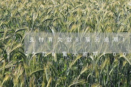 支付寶欠款8萬元逾期100多天-支付寶欠款8萬元逾期100多天會(huì)怎樣