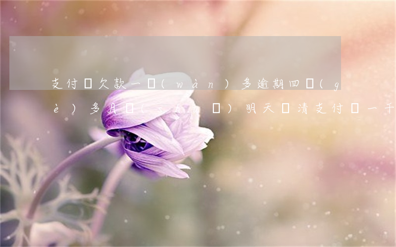 支付寶欠款一萬(wàn)多逾期四個(gè)多月說(shuō)明天還清（支付寶一千逾期四個(gè)月還）