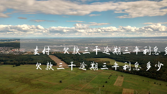 支付寶欠款三千逾期三年利息多少-支付寶欠款三千逾期三年利息多少錢
