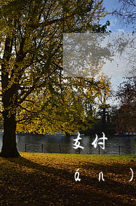 支付寶欠款不還被起訴(欠支付寶的錢(qián)被起訴了,起訴后還錢(qián)可以嗎)