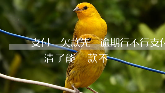 支付寶欠款先還逾期行不行(支付寶逾期一年還清了能貸款不)