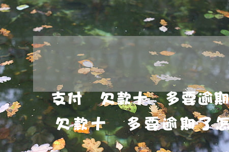 支付寶欠款十萬多要逾期了怎么辦-支付寶欠款十萬多要逾期了怎么辦呢