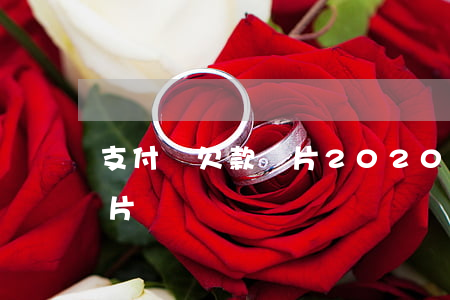 支付寶欠款圖片2020（支付寶欠款逾期照片）