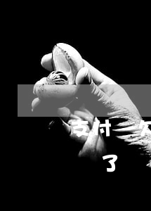支付寶欠款實(shí)在無(wú)力償還了應(yīng)該怎么辦-支付寶欠款實(shí)在無(wú)力償還了應(yīng)該怎么辦呢