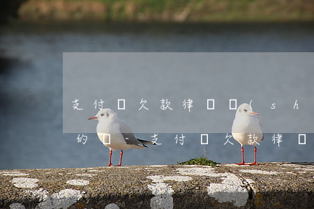 支付寶欠款律師說(shuō)要起訴是真的嗎-支付寶欠款律師說(shuō)要起訴是真的嗎嗎