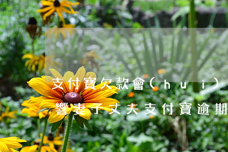 支付寶欠款會(huì)不會(huì)影響妻子（丈夫支付寶逾期影響老婆賬戶嗎）