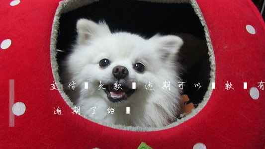 支付寶欠款沒逾期可以貸款嗎(有人欠支付寶逾期了的嗎)
