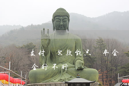 支付寶欠款能只還本金嗎(支付寶逾期只還本金行不行)