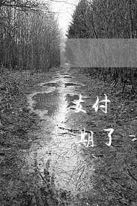 支付寶欠款起訴后無力償還怎么辦-如果逾期了實在沒錢還怎么辦