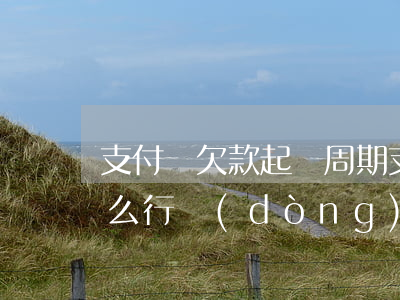 支付寶欠款起訴周期 支付寶逾期起訴前有什么行動(dòng)