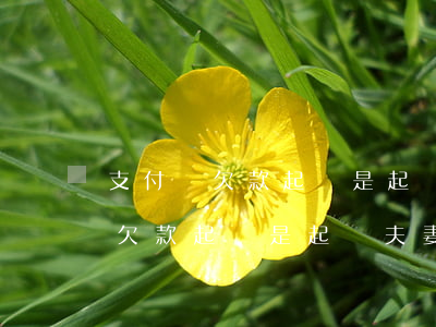 支付寶欠款起訴是起訴夫妻雙方嗎-支付寶欠款起訴是起訴夫妻雙方嗎知乎