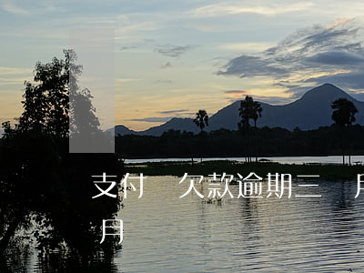 支付寶欠款逾期三個月-支付寶逾期三個多月