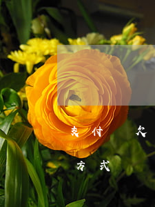 支付寶欠款逾期后果-支付寶欠款逾期處理方式