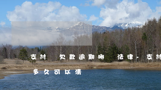 支付寶欠款逾期哪條法律-支付寶欠款逾期多久可以清