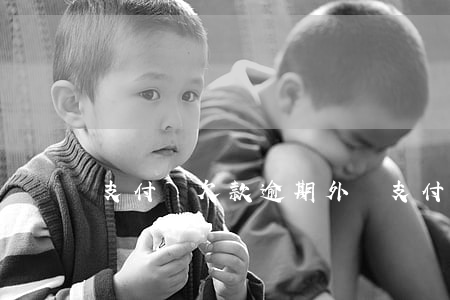 支付寶欠款逾期外訪(支付寶逾期說是要外訪)