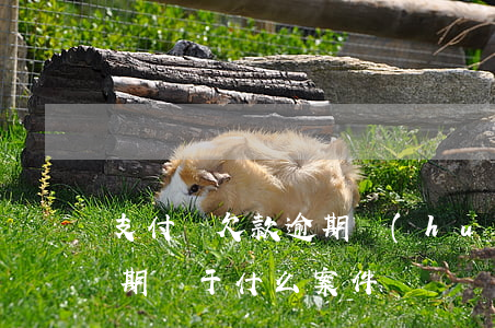 支付寶欠款逾期會(huì)立案 支付寶逾期屬于什么案件