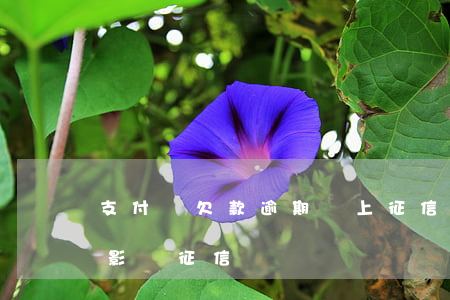 支付寶欠款逾期會上征信嗎(支付寶有逾期會影響征信嗎)