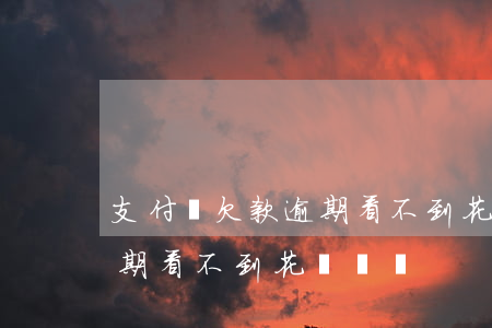 支付寶欠款逾期看不到花唄-支付寶欠款逾期看不到花唄賬單