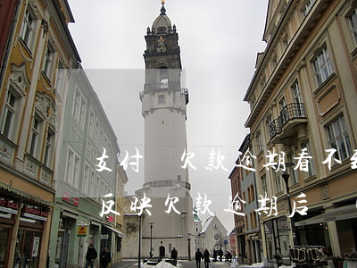 支付寶欠款逾期看不到花唄賬單，支付寶用戶反映：欠款逾期后無(wú)法查看花唄賬單