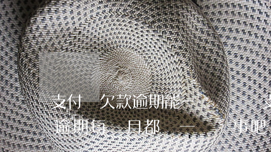 支付寶欠款逾期能一點點還嗎(支付寶長時間逾期每個月都還一點沒事吧)