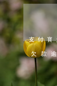支付寶欠款逾期起訴電話通知家屬-支付寶欠款逾期起訴電話通知家屬怎么辦