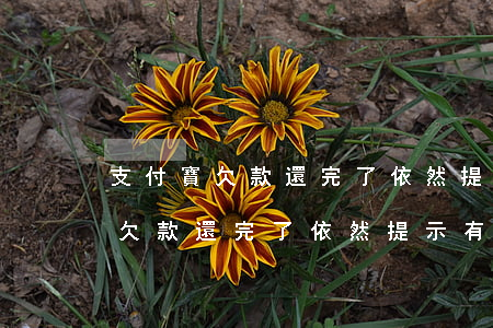 支付寶欠款還完了依然提示有逾期-支付寶欠款還完了依然提示有逾期怎么辦