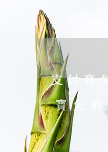支付寶欠的網(wǎng)商貸怎么樣(支付寶欠的網(wǎng)商貸怎么樣)